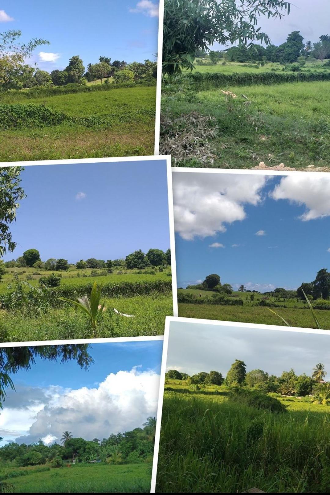L'Ecrin Vert Sainte-Anne  Dış mekan fotoğraf